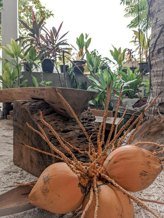 Dhoadhi Retreat Ξενοδοχείο Thulusdhoo Εξωτερικό φωτογραφία