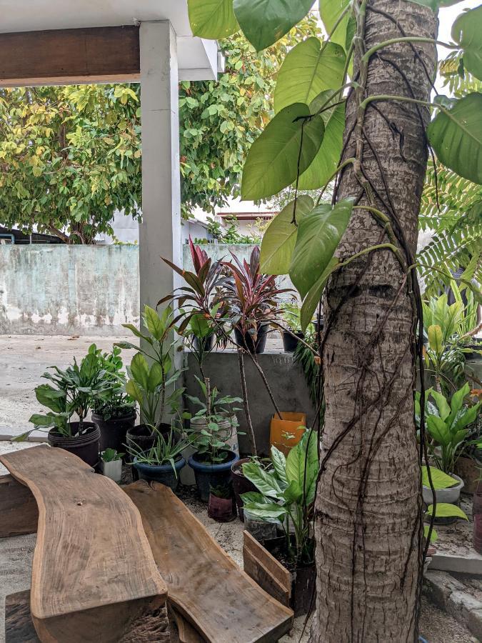 Dhoadhi Retreat Ξενοδοχείο Thulusdhoo Εξωτερικό φωτογραφία