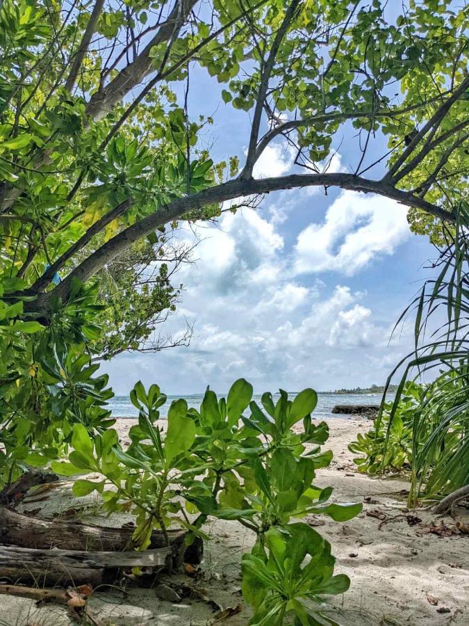 Dhoadhi Retreat Ξενοδοχείο Thulusdhoo Εξωτερικό φωτογραφία