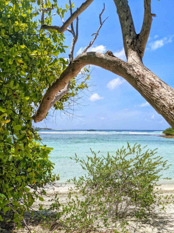 Dhoadhi Retreat Ξενοδοχείο Thulusdhoo Εξωτερικό φωτογραφία