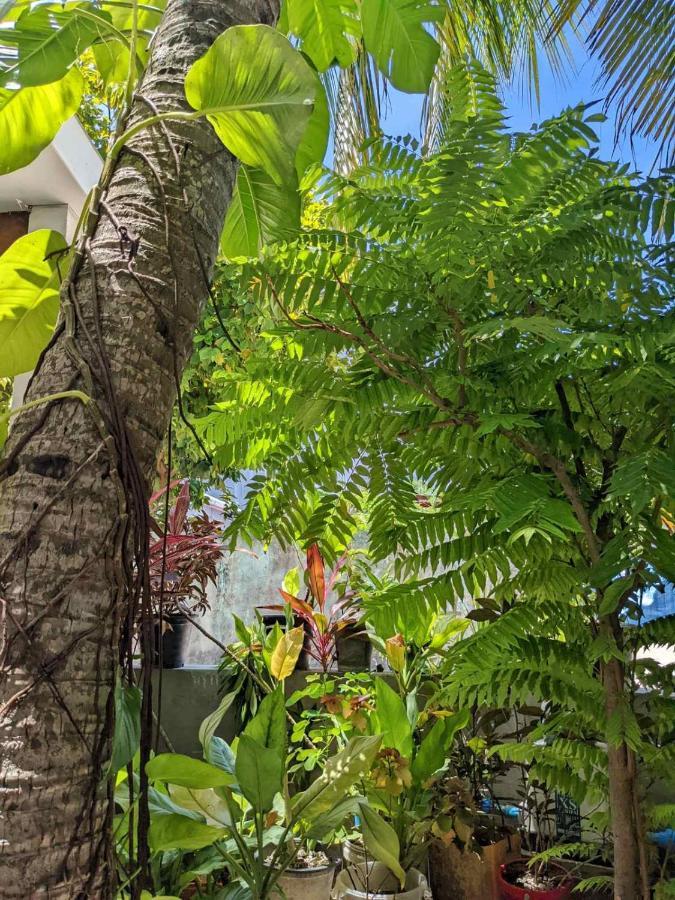 Dhoadhi Retreat Ξενοδοχείο Thulusdhoo Εξωτερικό φωτογραφία
